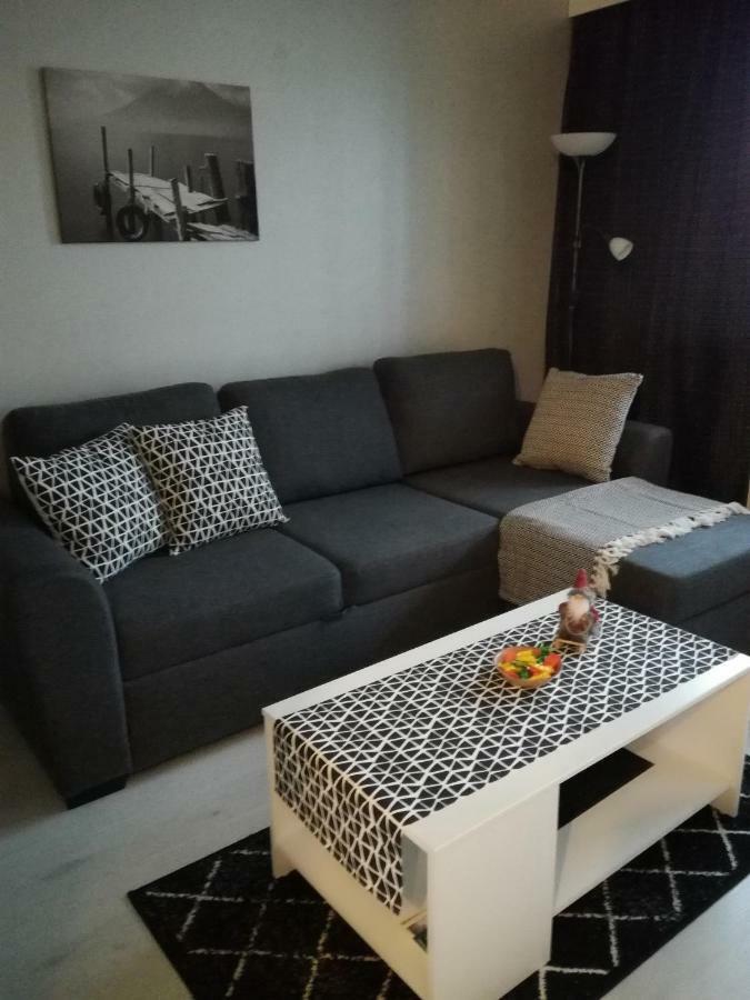 A Lovely One-Room Apartment Near The City Centre. Вааса Экстерьер фото